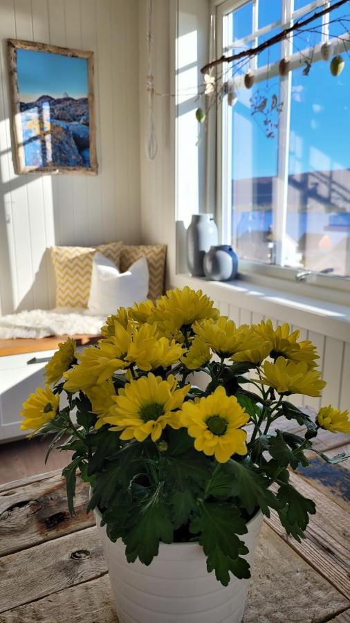 Haramsoy Holiday Apartment- Island Life North Екстериор снимка